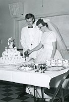 Dale Arlene - Wedding Cake Hi